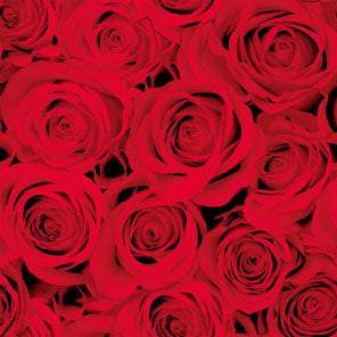 Duni 3-lags serv.24cm 20stk|Kart/12 Red roses