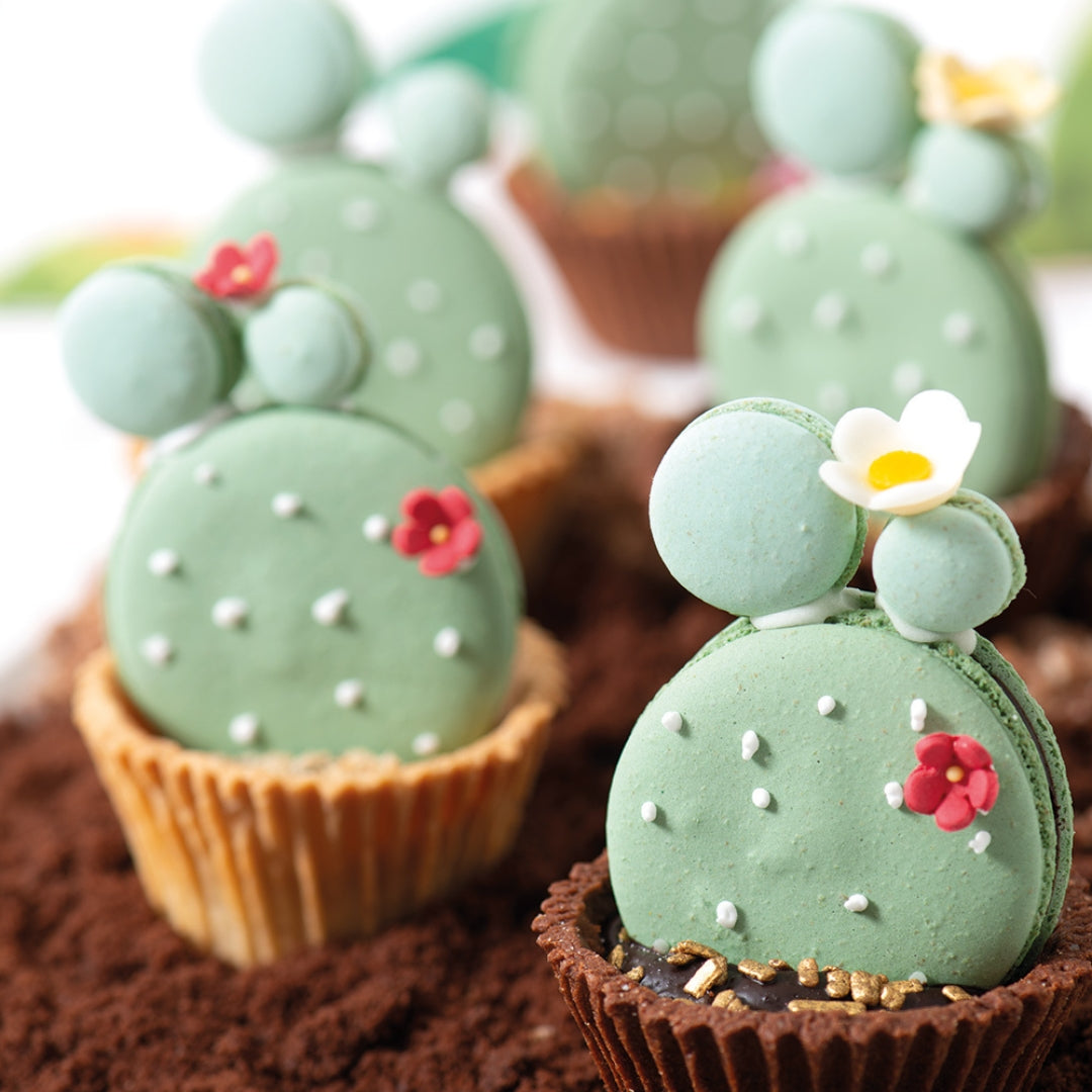 Decora Macaron turrmix t/2x35stk Ø3,5cm hvítt