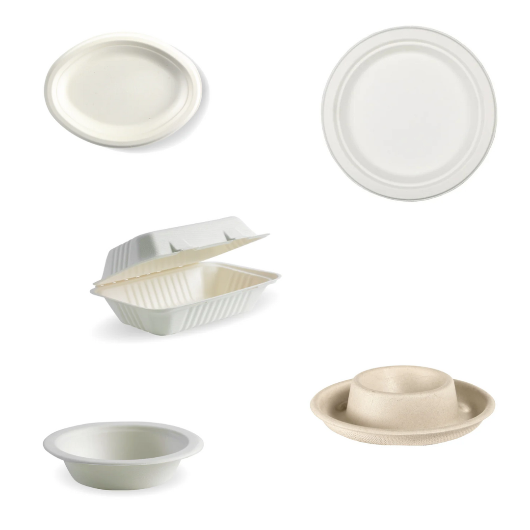 Bagasse