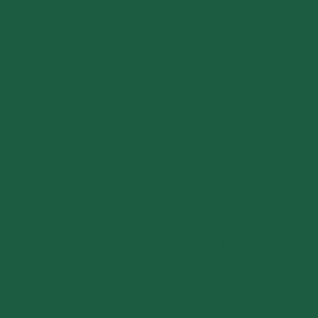 Duni 3-lags serv.24cm 20stk|Kart/12 Myrkagrønt