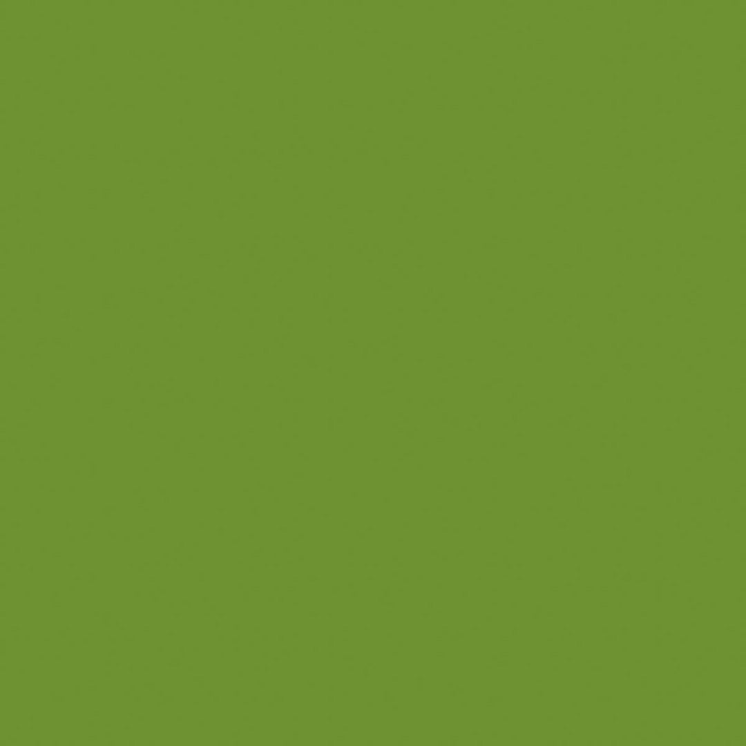 Dunisoft serv.40cm 12stk|Kart/12 Leaf Green