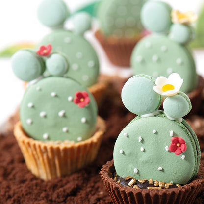 Decora Macaron turrmix t/2x35stk Ø3,5cm hvítt
