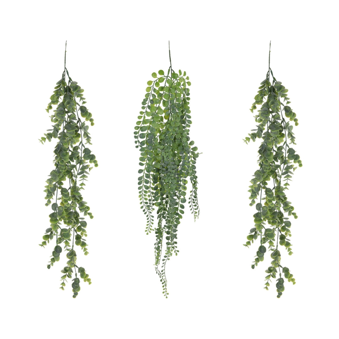 EH Heingiplanta 3ass 80cm 1stk