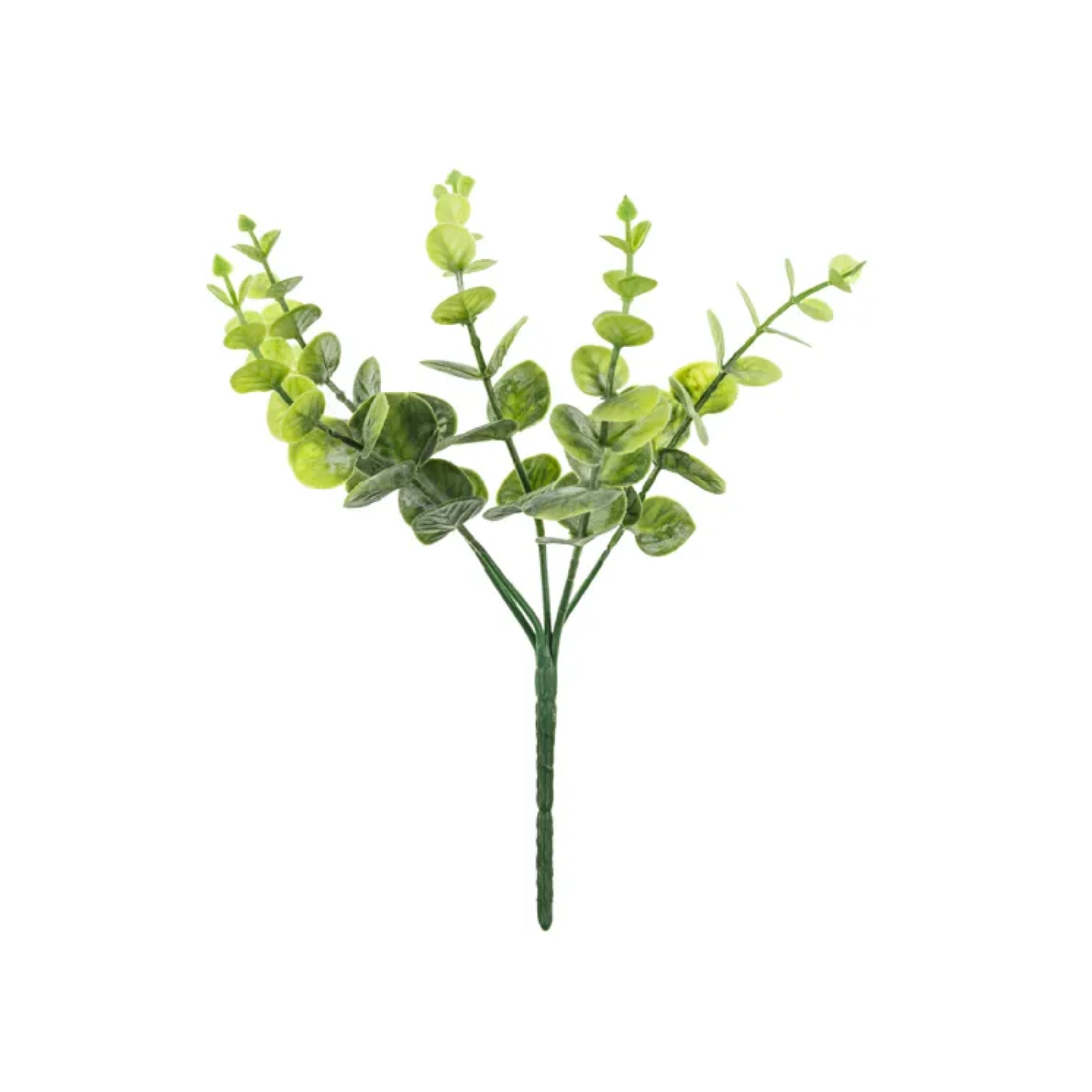 Party Deco Eucalyptus blómutyssi 27cm