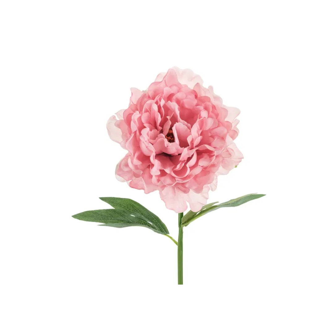 Party Deco Bóndarósa pink 35cm