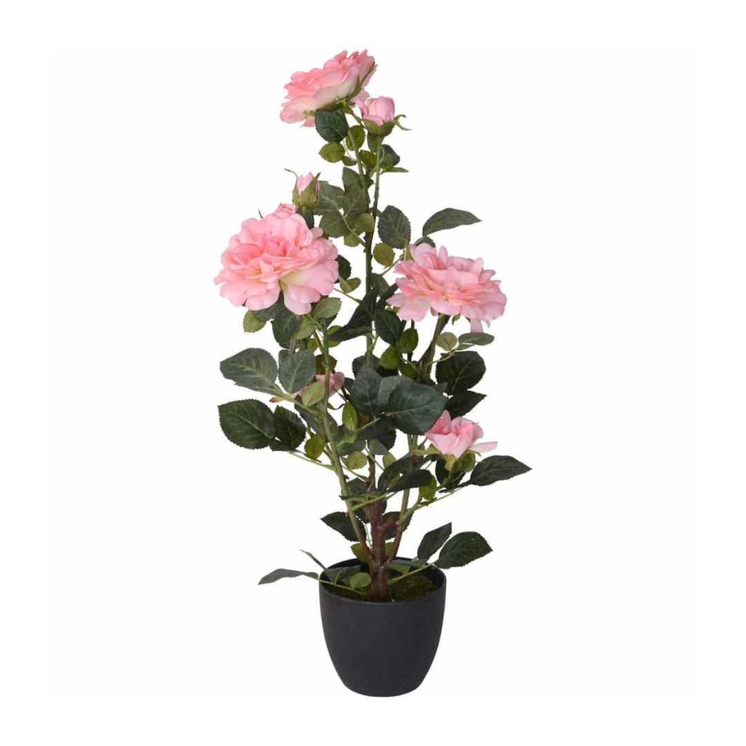 Rósur í urtapotti 70cm