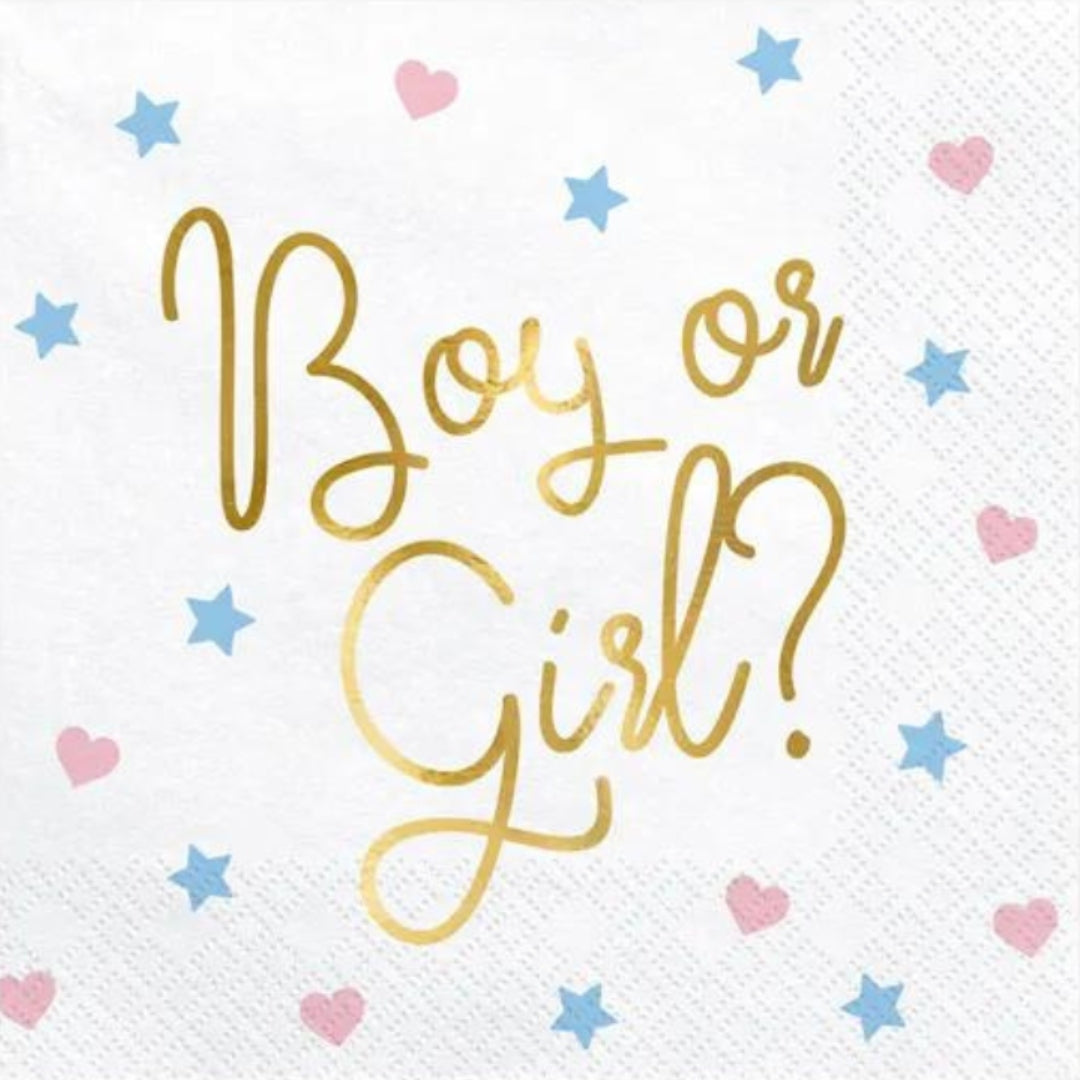 PartyDeco Serviettar 33cm 20stk "Boy or Girl"
