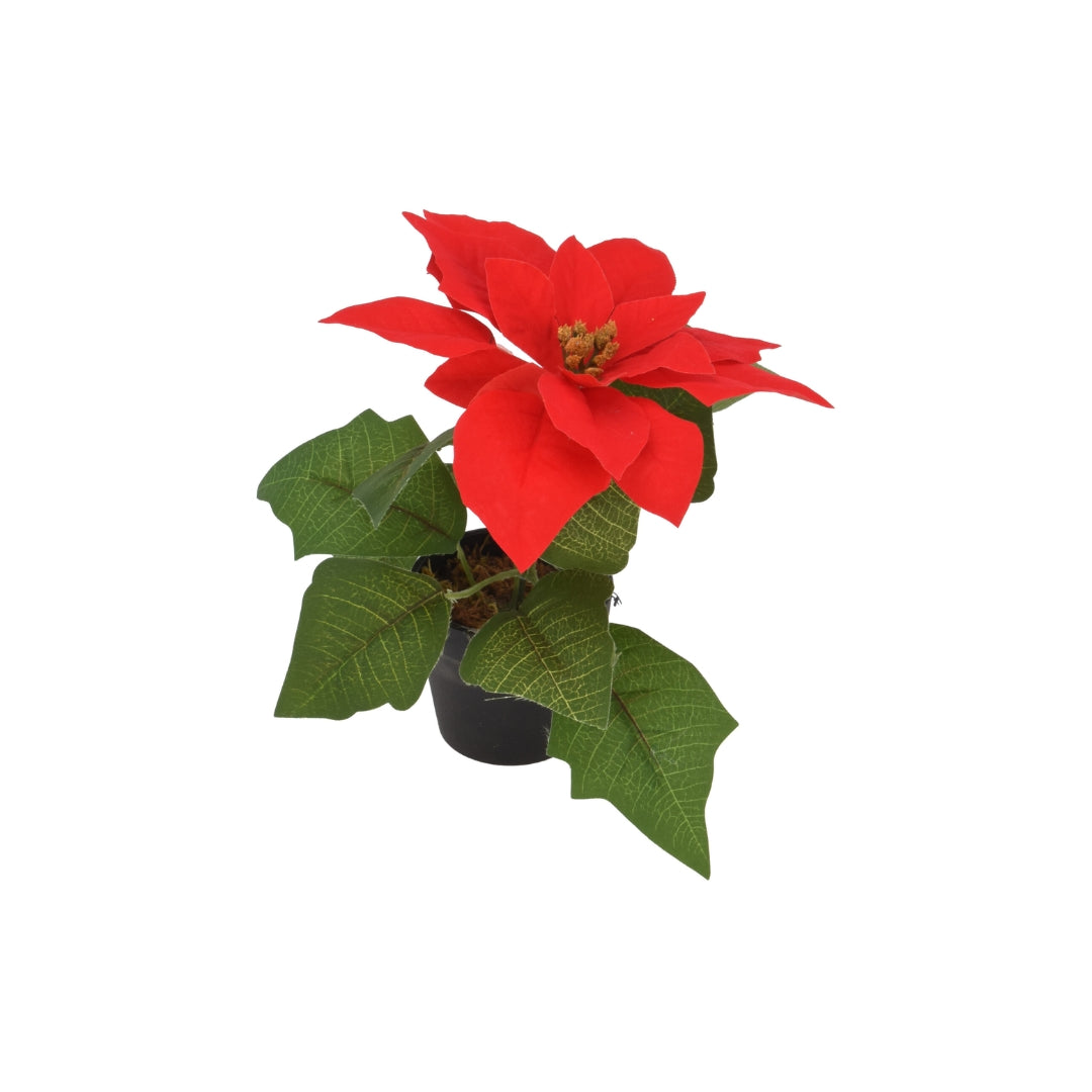 EH Jólastjørnu á stelki 19cm reyð