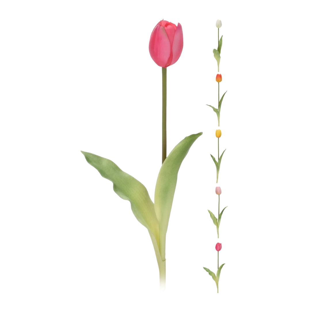 EH Tulipan á stelki 5ass 40cm 1stk