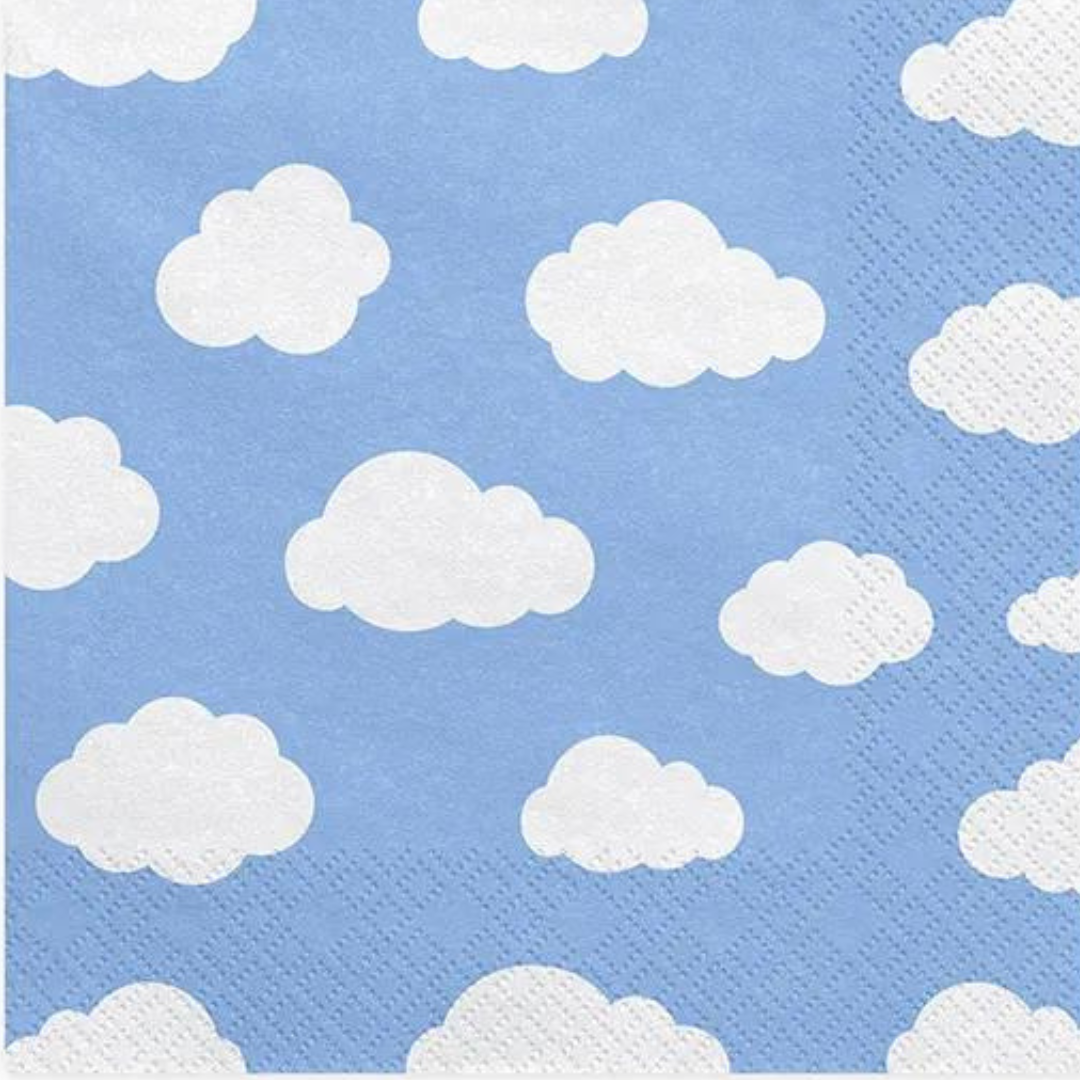 Partydeco Serviettar 33cm 3-lag 20stk little plane