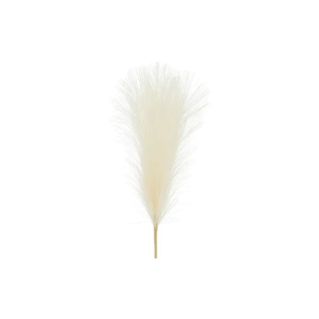 PD Pampas gras 45cm Ø10 eftirgjørt Ljóst krem