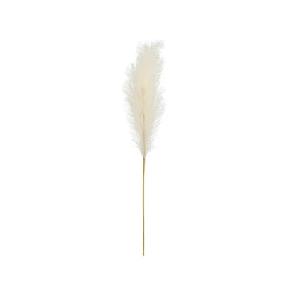 PD Pampas gras 110cm Ø15 eftirgjørt Ljóst krem