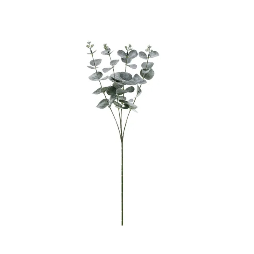 PD Ekalypsus grein 60cm grøn