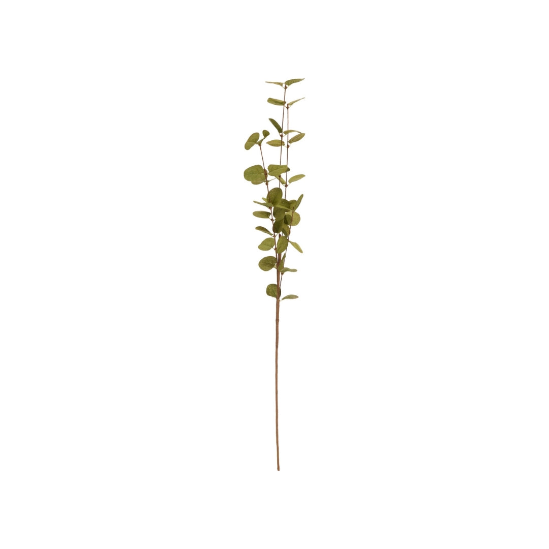 EH Eftirgjørd grein Eucalyptus 76cm 3ass 1stk