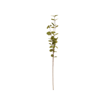 EH Eftirgjørd grein Eucalyptus 76cm 3ass 1stk