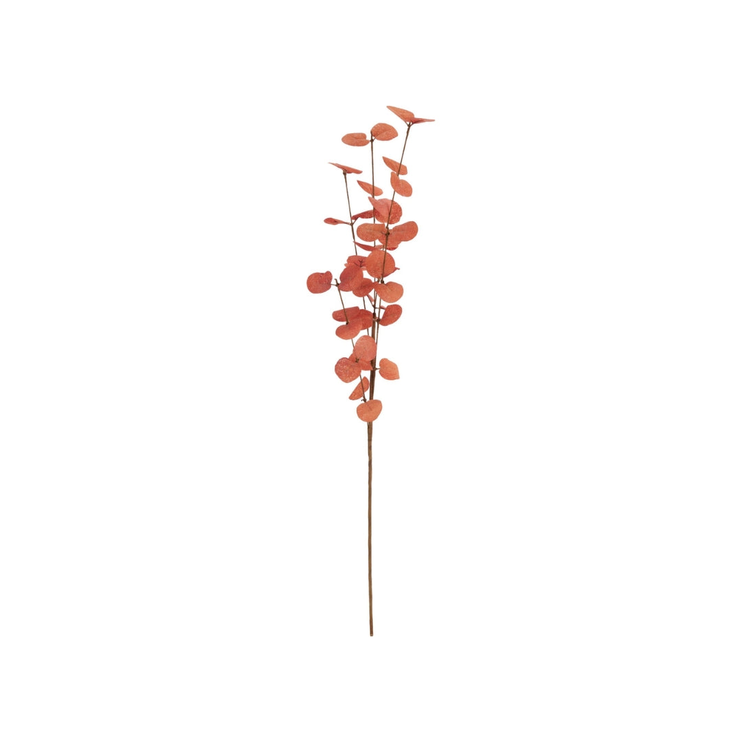 EH Eftirgjørd grein Eucalyptus 76cm 3ass 1stk