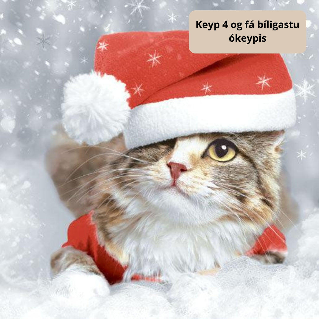 Duni Serv. 3-lag 33cm 20stk|12pak Kitten Christmas