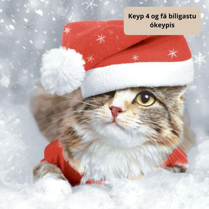 Duni Serv. 3-lag 33cm 20stk|12pak Kitten Christmas