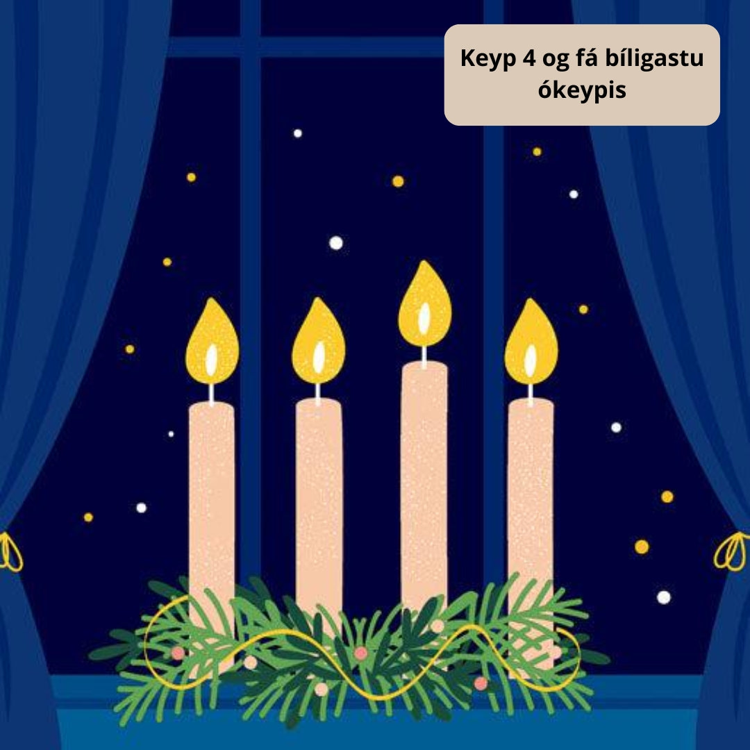 Duni Serv. 3-lag 33cm 20stk|12pak Advent night