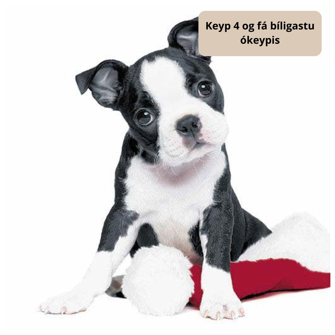 Duni Serv. 3-lag 33cm 20stk|12pak Xmas Dog