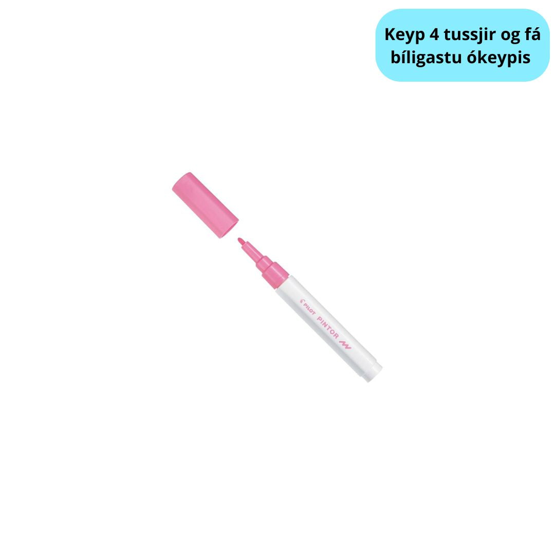 Tussj Fín 1,0mm Pink Rosa Pilot Pintor