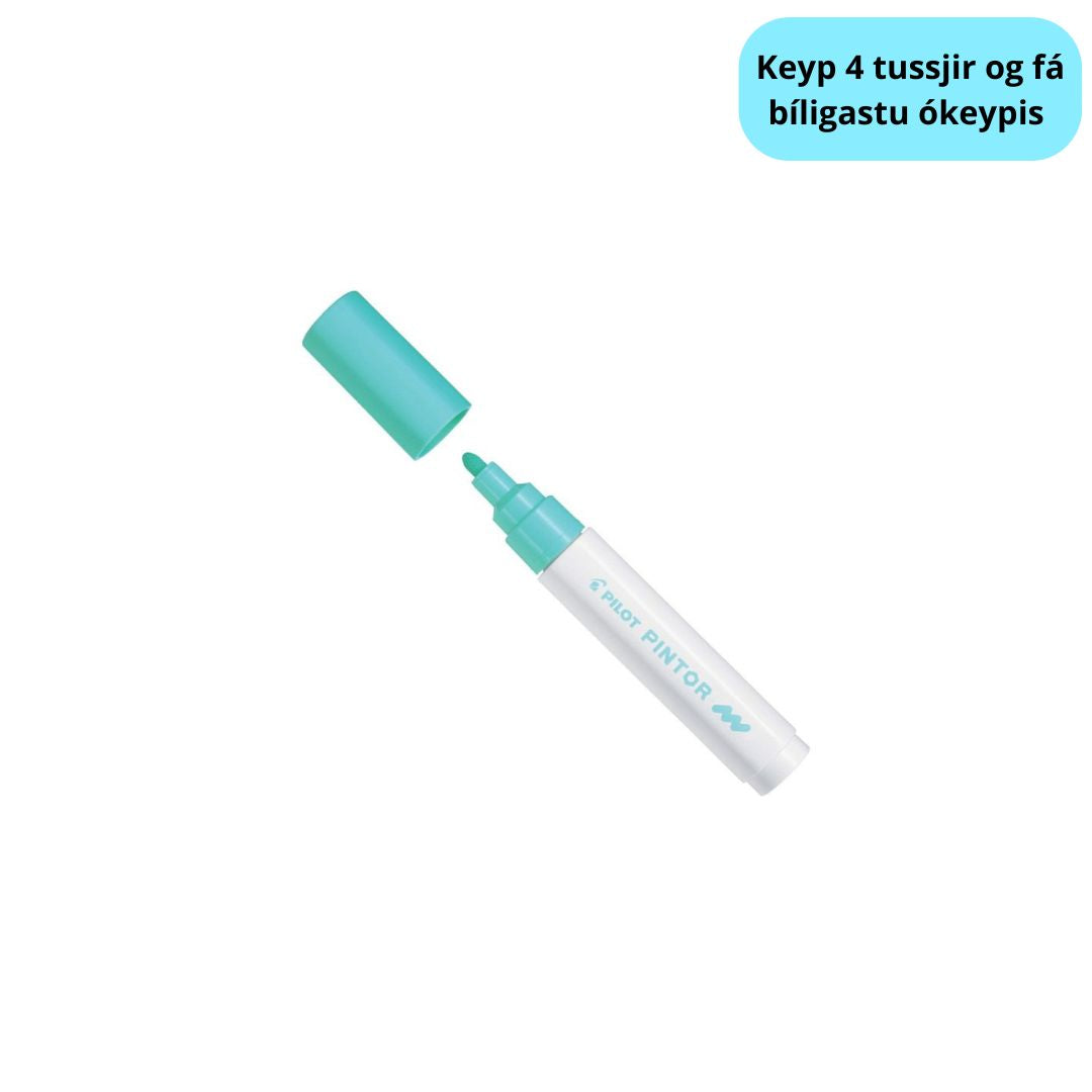 Tussj Medium 1,4mm Pastel Grønt Pilot Pintor
