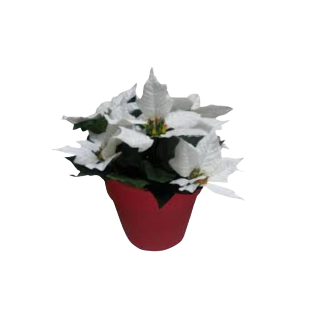 Julestjerne 30cm hvid