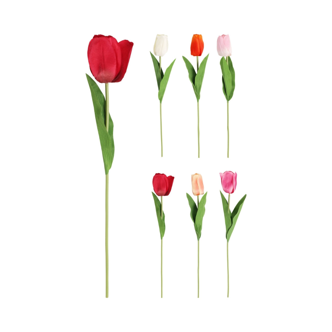EH Eftirgjørd tulipan 50cm ass 1stk