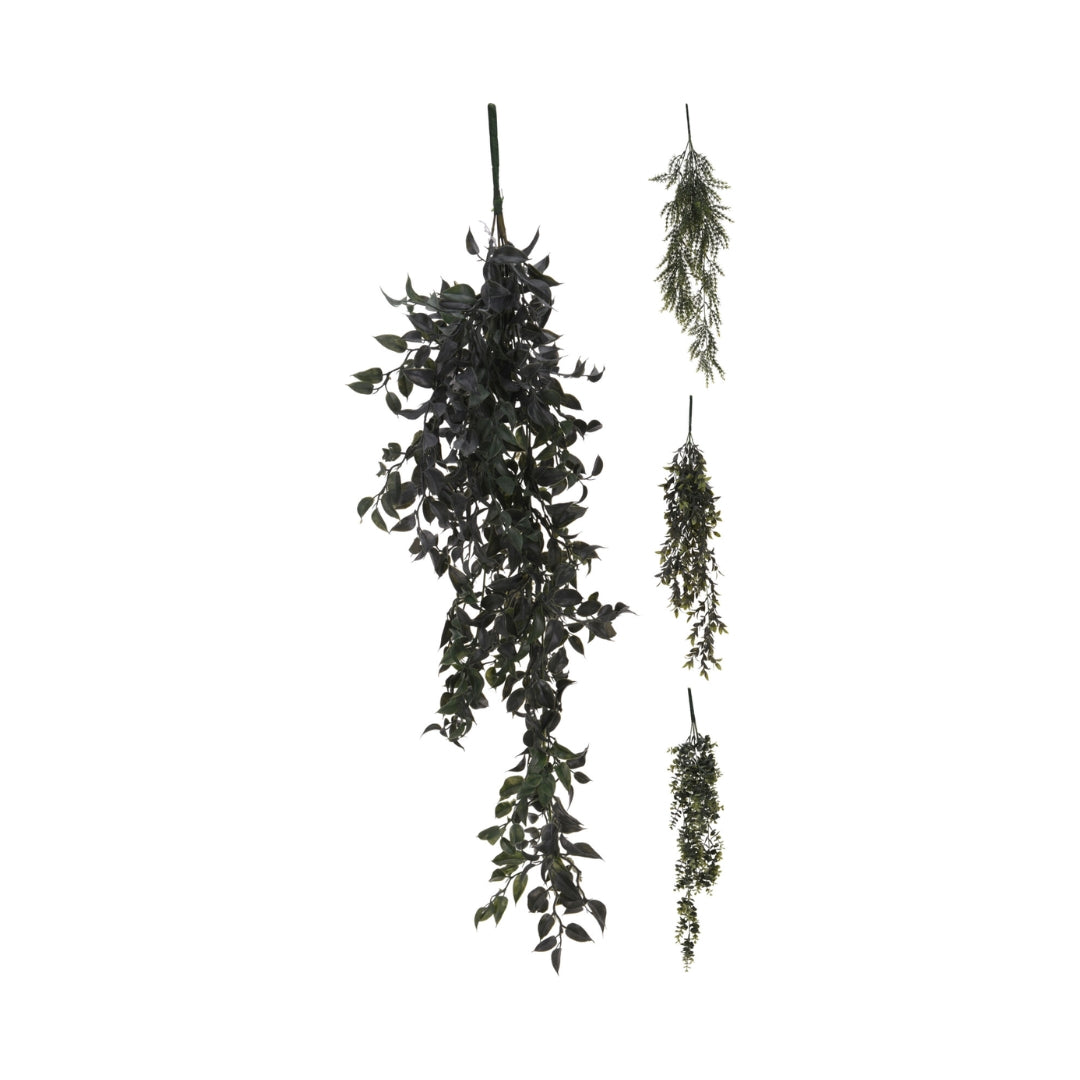 Hangiplanta 80cm vel ímillum 4 snið