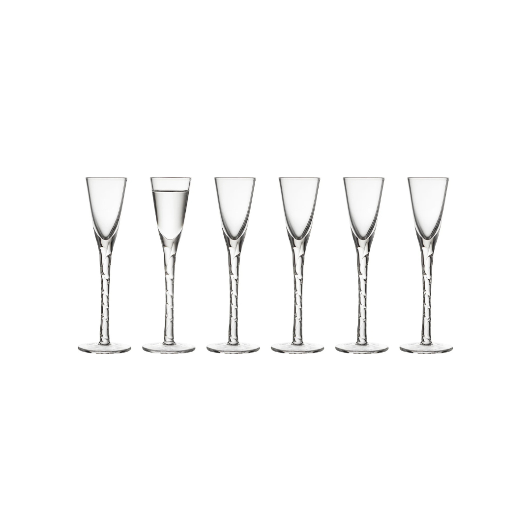 Gløs snaps 6stk Paris 2,5cl Klár glas Lyngby