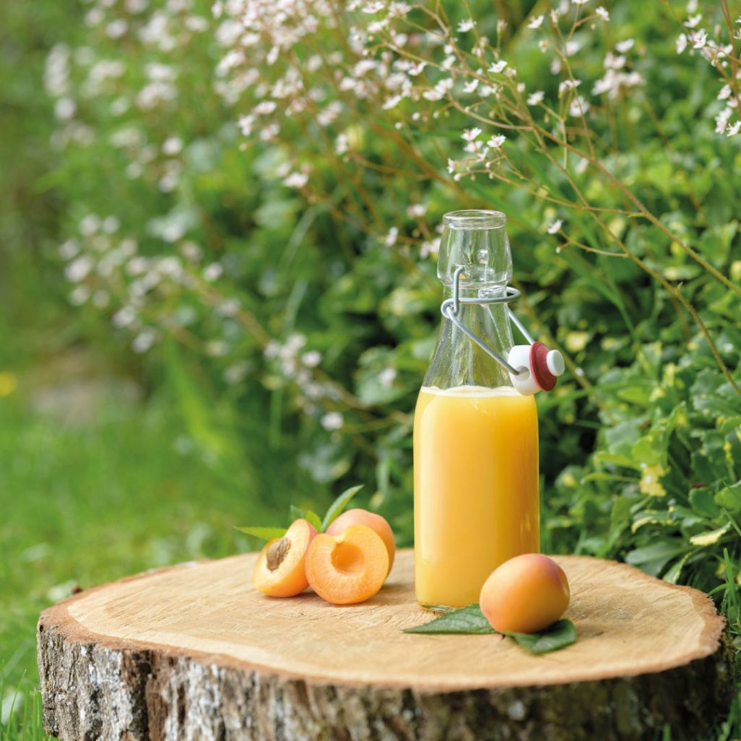 Westmark Fløska glas v/patentproppi 250ml