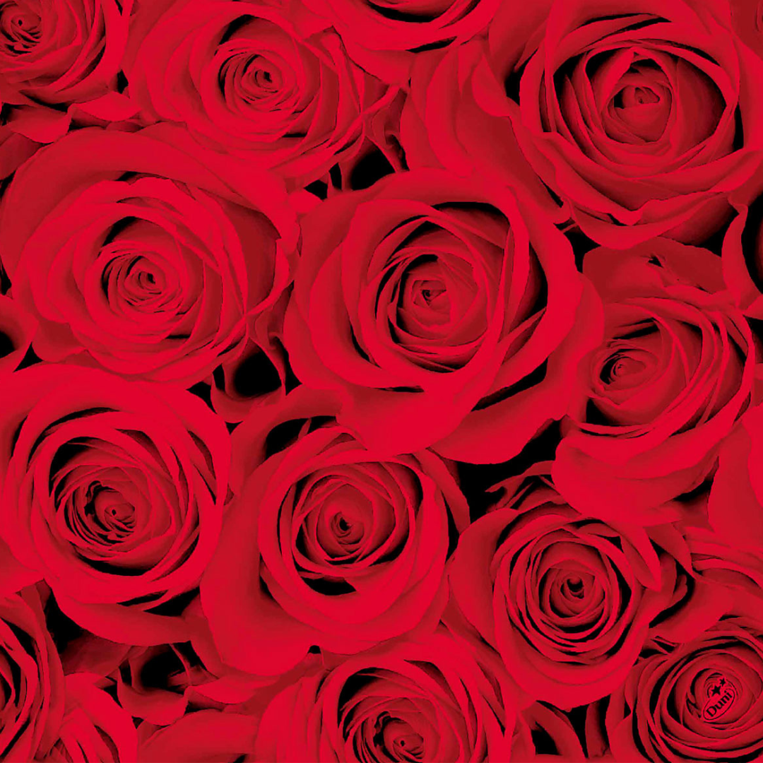 Dunisoft serv.40cm 12stk|Kart/12 Red Roses