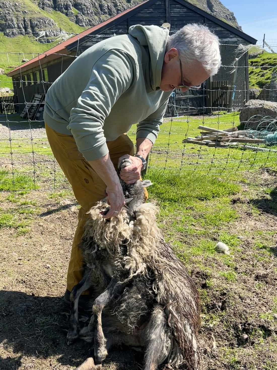 Jakoti saksur t/royting &amp; urtagarð