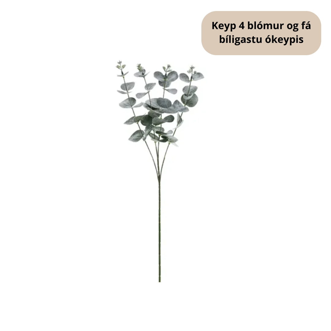PD Ekalypsus grein 60cm grøn