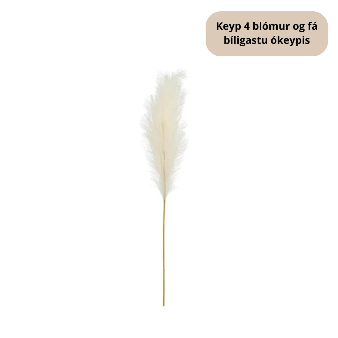 PD Pampas gras 110cm Ø15 eftirgjørt Ljóst krem