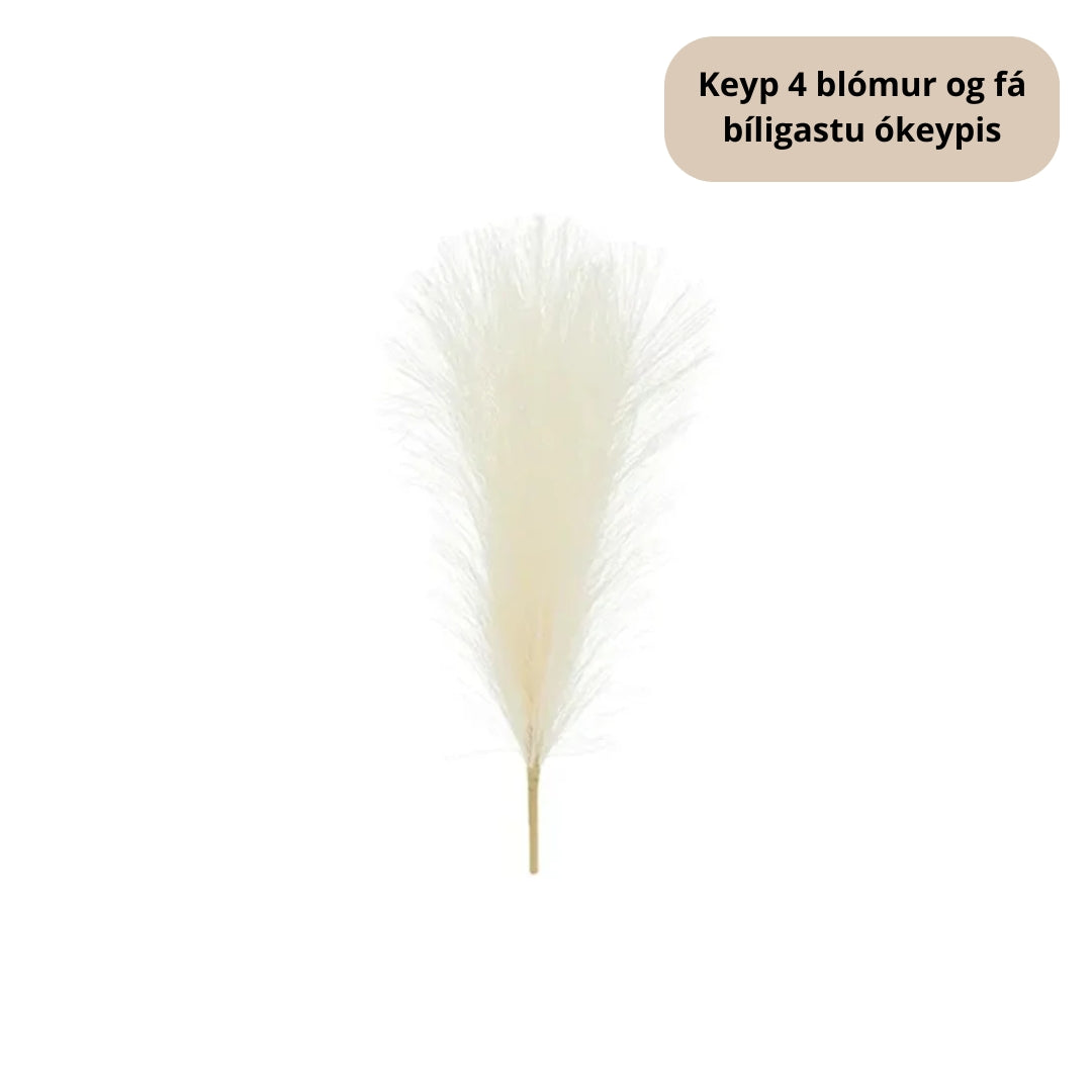 PD Pampas gras 45cm Ø10 eftirgjørt Ljóst krem