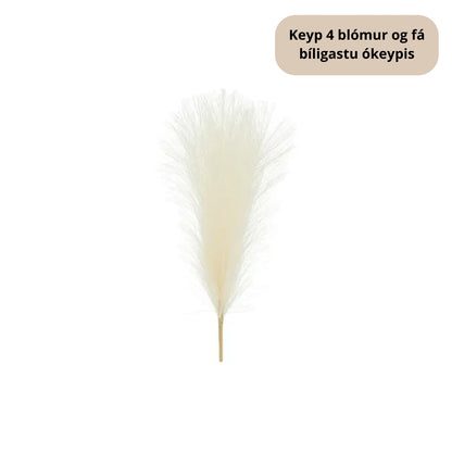 PD Pampas gras 45cm Ø10 eftirgjørt Ljóst krem