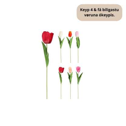 EH Eftirgjørd tulipan 50cm ass 1stk