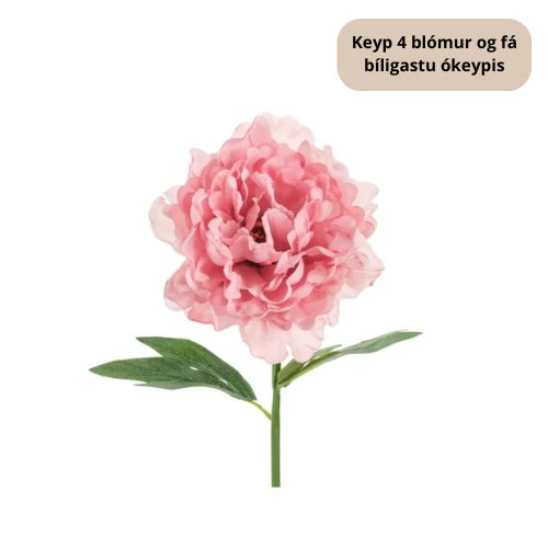 Party Deco Bóndarósa pink 35cm